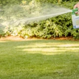 Weed Killer for Lawn
