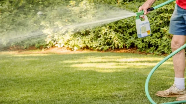 Weed Killer for Lawn