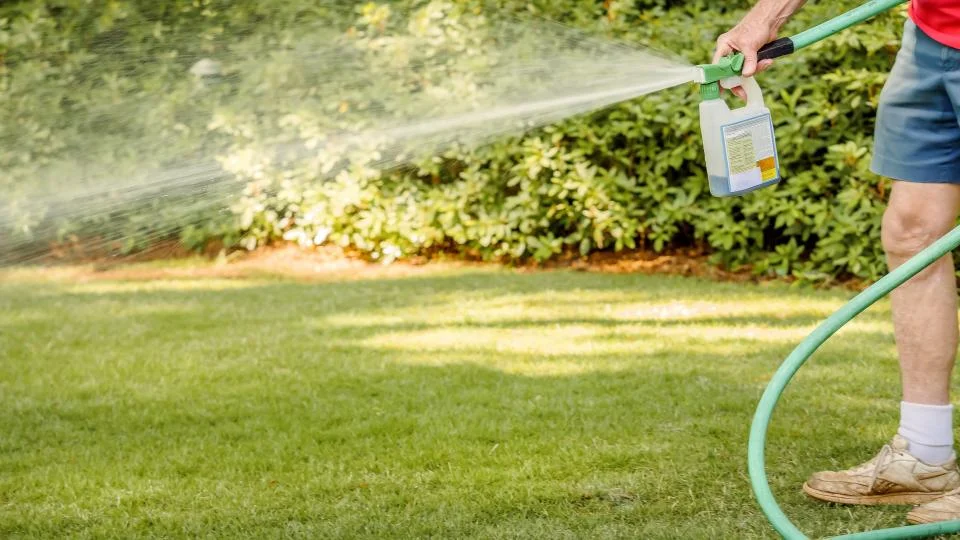 Weed Killer for Lawn: Can It Ever Be Safe and Effective?
