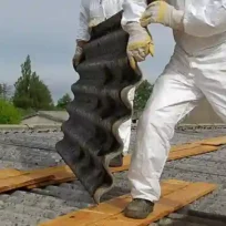 Asbestos Removing