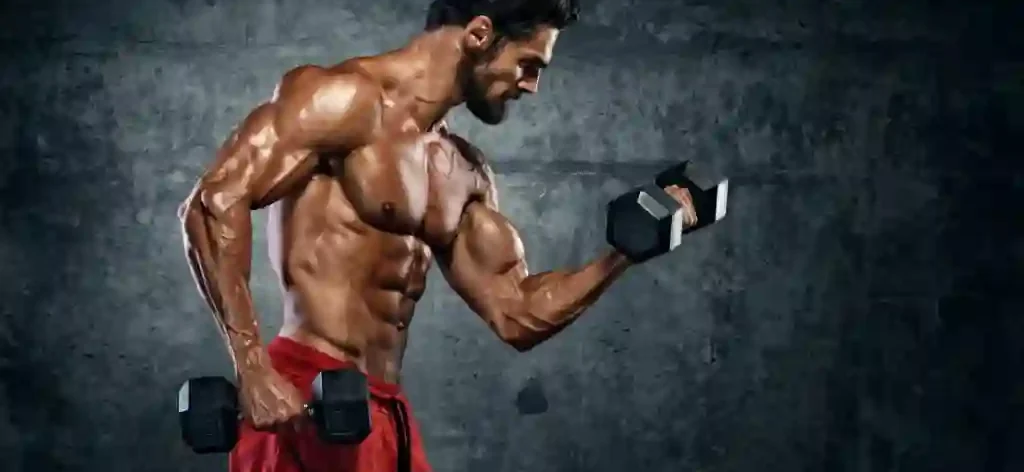 Sculpting Your Physique